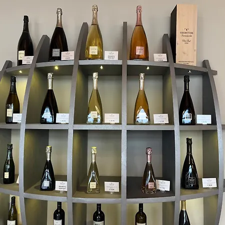 Modrin-wellness 酒店 特鲁特诺夫